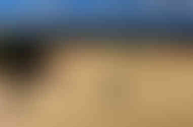 Mungo National Park, enormous sand dunes swallow people into the immensity of the landscape