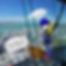 Auckland Savvy Swaps Travel Guide