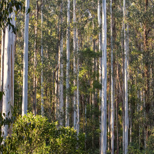 Slow Travel, Victoria, Australia: half-day itineraries