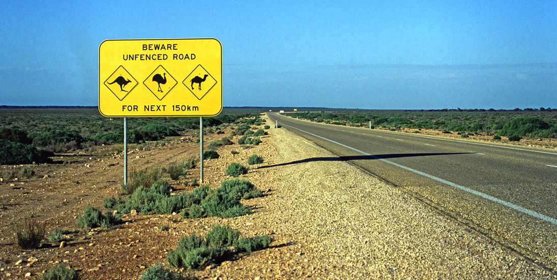 Australian desert road sign: 'BEWARE UNFENCED ROAD' (emu, camel) NEXT 150km
