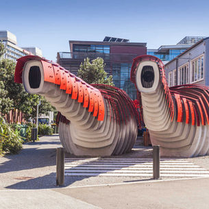 Wellington Odd Museums, Haunted Corners & Underground Curiosities