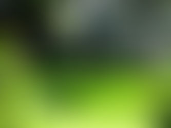 Why Sober Living Matters: The Statistics Behind Long Term Recovery Success