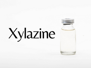 The Dangers of Xylazine: A Rising Threat in Addiction and the Role of Sober Living in Dallas
