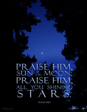 A canopy of trees opens to reveal the night sky and Psalm 148:2