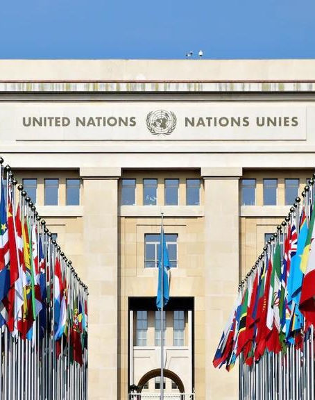 United Nations Organisation