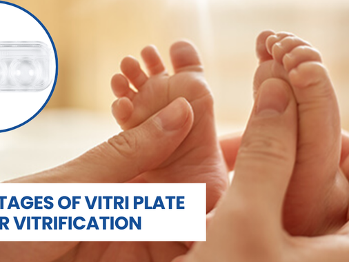 The essential role of vitrification plates and warming sets in creating smoother fertility lab workflows