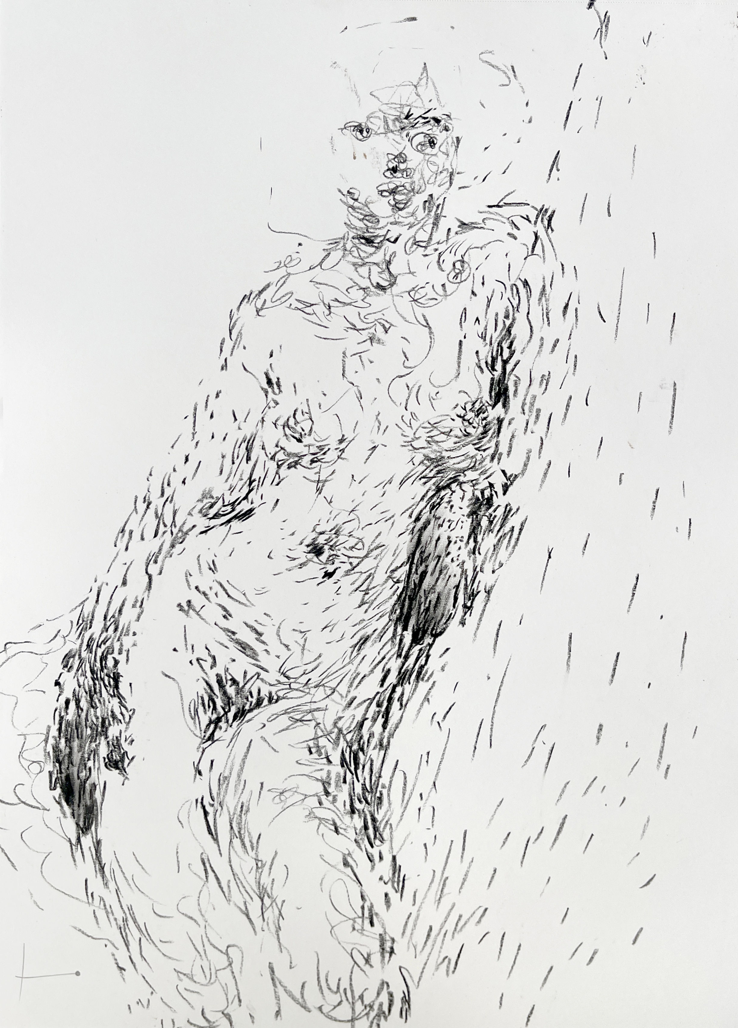 LD #67 (shipping included)