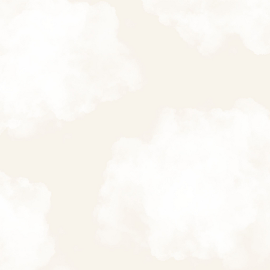 achtergrond logo.png