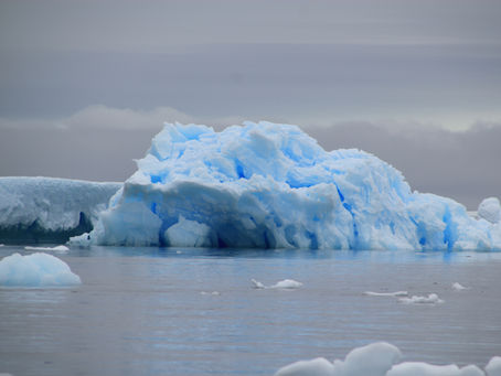 Natural History of Antarctica Travel Course
