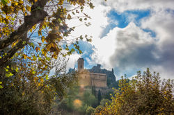 HK_24_09_2017_Cannes_Nizza_286