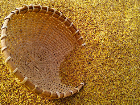 Today Is Your Day, part 32