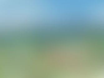 Architectural illustration Crystal Palace park regeneration visualization