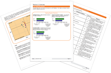 Bespoke 360 report pages fanned out