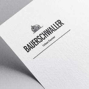 Bauer Schwaller