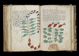 El manuscrito que nadie ha logrado leer - El manuscrito Voynich