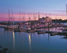 Harbor