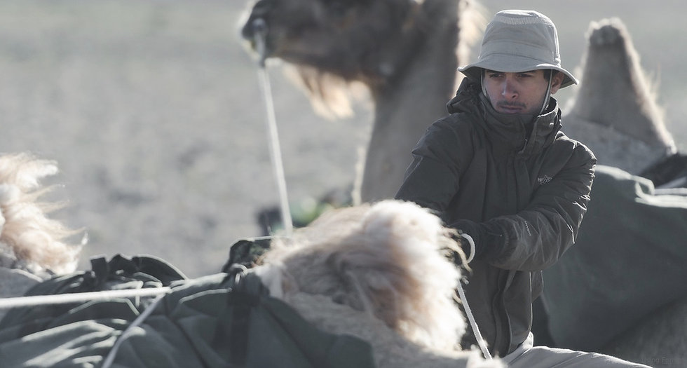 faraz-shibli-adventurer-loading-camel.jp