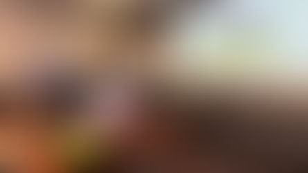 Bocas del Toro, entre las provincias con mayor deforestación en Panamá, según el Mapatón 2024