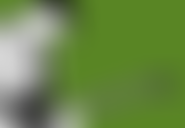 Second Volume Of David Gedge Autobiography Released