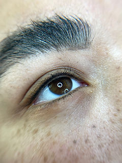 Line Lash Enhancement.