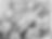 unnamed-7-1030x771.jpg