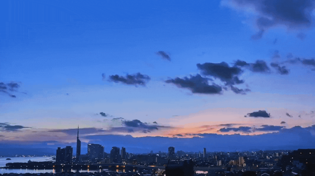 名称未設定のコピーのコピー (4).gif