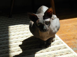 12038706_10150923555284953_7300807161705