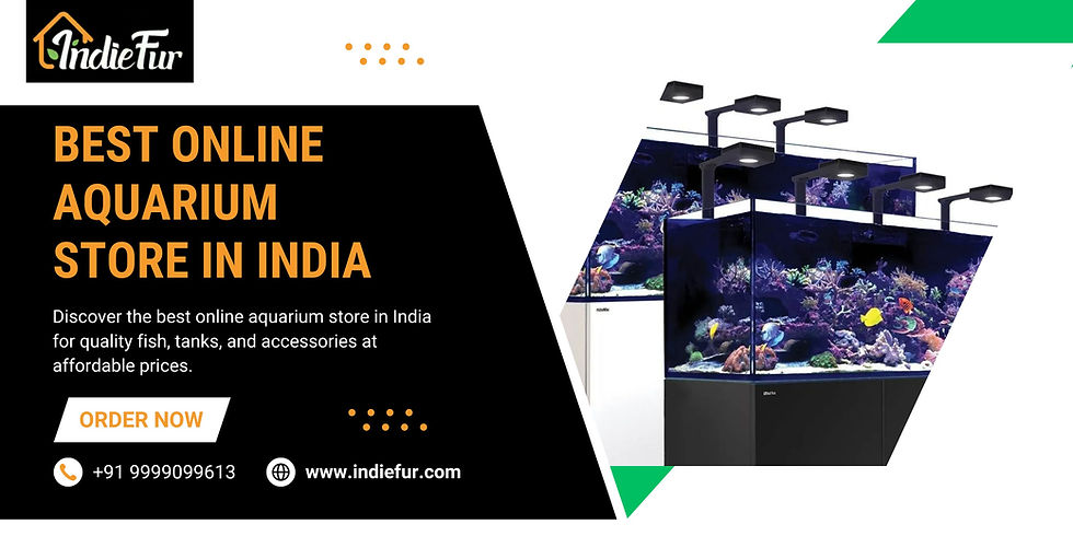 Best Online Aquarium Store in India 
