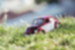 nature-1284037_1920.jpg