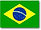 brasil flag.jpg