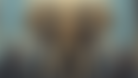 El amor en las empresas, un elefante en la habitación