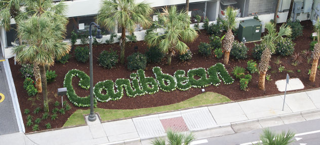 MONDO GRASS LETTERS.JPG