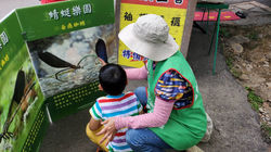 員林客家桐花季