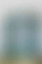 Alcôve bleue avec lit intégré