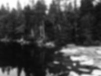 pond2.jpeg