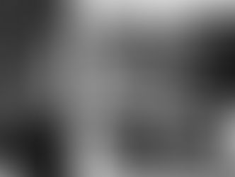 Kid Francescoli : l'amoureux pop