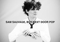 Sam Sauvage