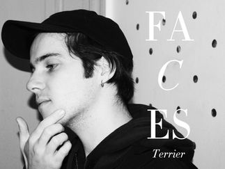 Terrier, la pop à l'abri