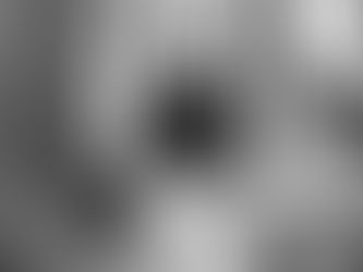 DI#SE, la note juste