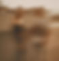 devon-divine-or2votez0va-unsplash_edited.jpg