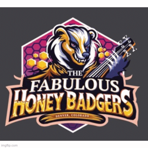 The Fabulous Honey Badgers band .gif