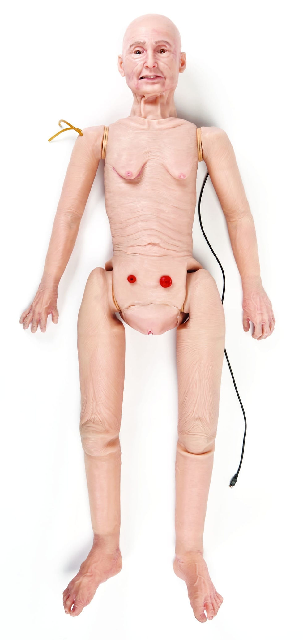 Thumbnail: TERi™ Androgynous Geriatric Patient Simulator - Light