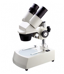 Microscope & Slides