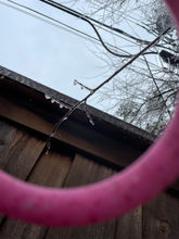 IMG_4332.jpeg