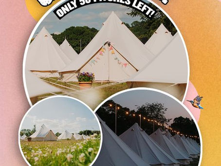 Only 50 glamping pitches left!