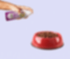 facepost.gif