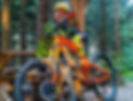 P1010417_edited.jpg