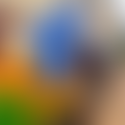 The finished playgrou d