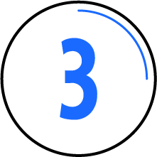 Asset 791.png