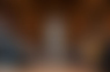 Animals Should Be Friends, Not Fashion